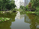 image0745