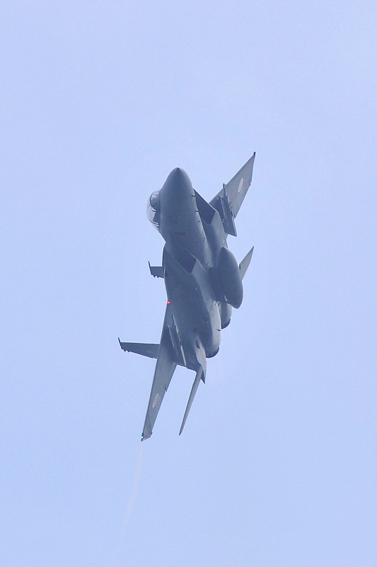 image0310