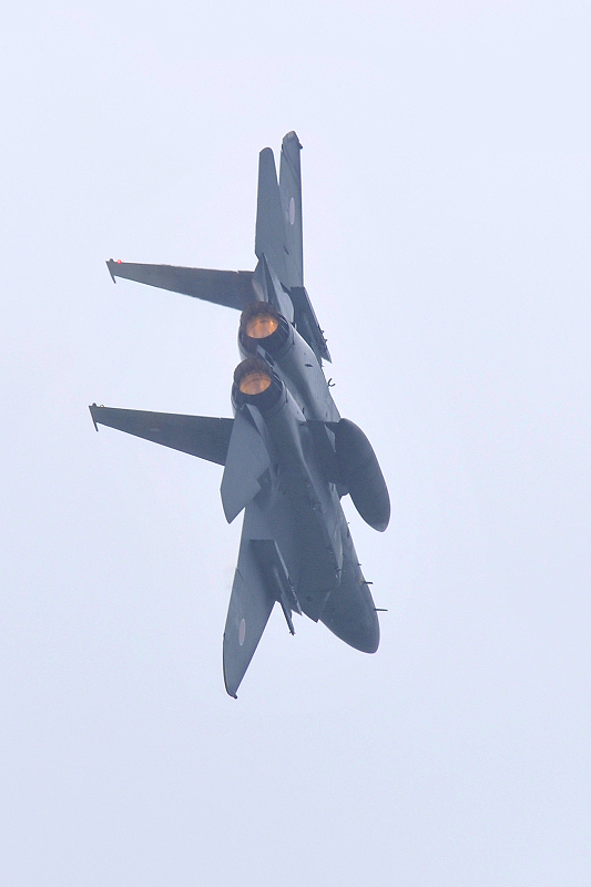 image0341