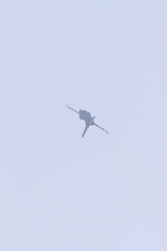 image0710