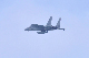 image0389