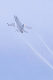 image0482