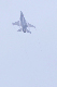 image0484