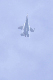image0487