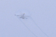 image0502