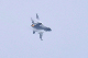 image0539