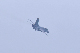 image0595