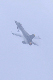 image0610