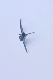 image0640