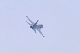 image0644