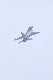 image0675