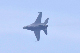 image0693