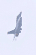 image0702