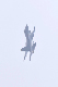 image0703