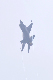image0704