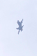 image0706