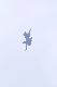 image0707
