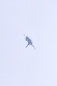 image0709