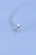 image0943