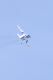 image0945