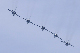 image1078