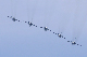image1079
