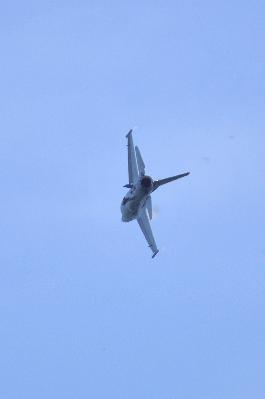 image0217