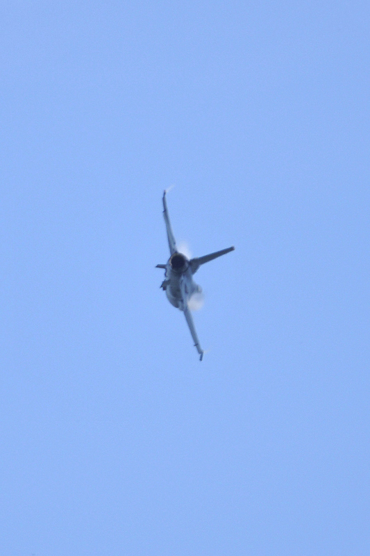 image0218