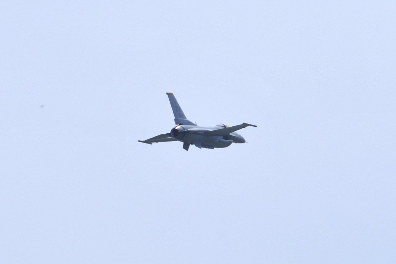 image0255
