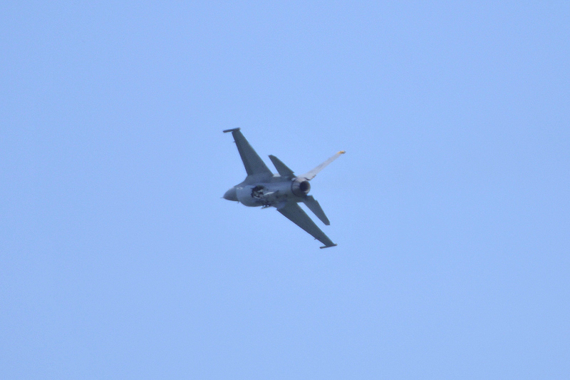 image0274