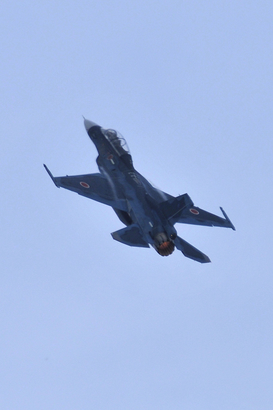 image0428