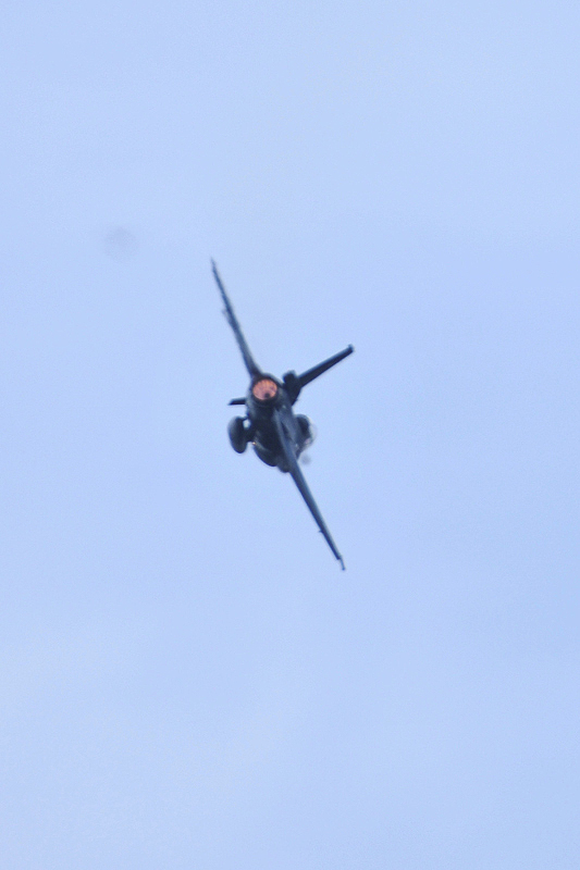image0501