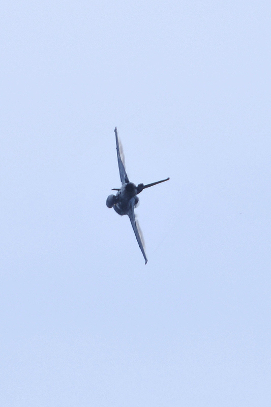 image0606