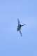 image0217