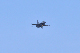 image0222