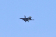 image0223