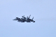 image0386