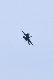 image0466
