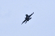 image0471