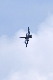 image0520