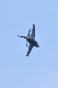 image0532
