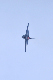 image0575