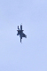 image0579
