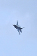 image0585