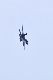 image0627