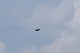 image0674