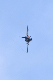 image0691
