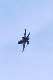 image0694