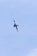 image0699