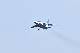 image0766